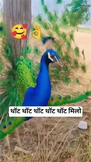mile Na Tum to Ham Na jaaye#love#viral #song