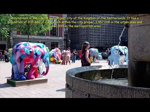 Amsterdam Netherlands city,Amsterdam is located in the Western Netherlands,