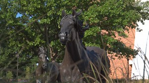 3.1K views · 87 reactions | New MSU Texas President Dr. JuliAnn Mazachek explores the campus right before the start of the Fall 2022 semester and welcomes students, faculty, and staff back to Midwestern State University. Welcome back Mustangs! | Midwestern State University | Facebook