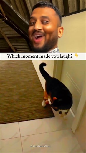 Try Not To Laugh 😂 | Funniest Pet Fails Compilation #shorts #funnyfails