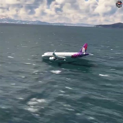 This is what a flight over the ocean looks like 🌊