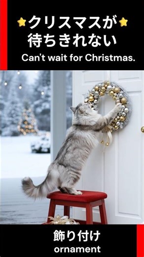 クリスマスが待ちきれない🐱🎄飾り付け編🔔#aicat​ #ai猫​ #クリスマス #christmas #サイベリアン #ornament #冬 #オルゴール #cat