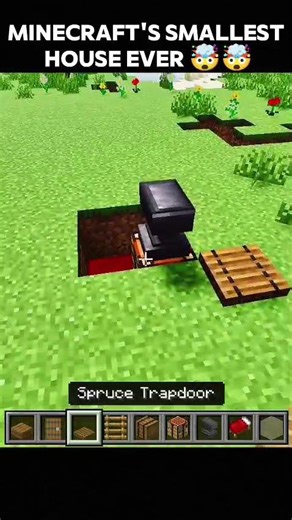 Most smallest house ever 😱 #shorts #minecraft