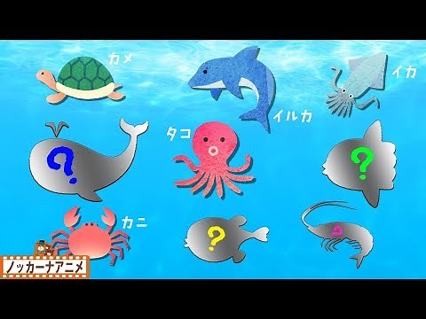 海の生き物 な～んだ？赤ちゃん・子供向けアニメ★知育動画Sea creatures animation for kids