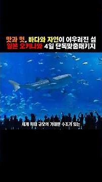 아메리칸 빌리지 앞, 최고의 휴양! 비치타워 호텔 🌺 #오키나와여행 #오키나와리조트 #아메리칸빌리지 #오키나와핫플 #츄라우미수족관 #코우리오션타워 #내일투어