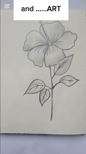 Simple Pencil Flower Drawing Tutorial | Easy Sketch Art Using Basic Materials