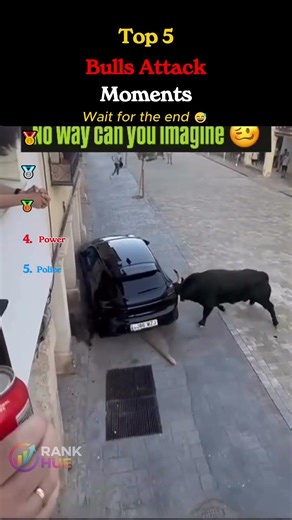 Funny Bulls Attack Moments 😂