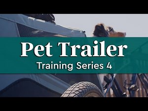Pet Trailer Training Series - Putting it All Together | Burley