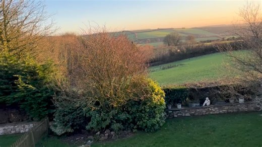 View from my b’room window this morning and for a short while no rain! ☔️ I watch as a squirrel scampers across the fields and pheasants (in their safe place) wander lazily up and down, horses grazing all around. Just some of the moments of happiness, the #countryside brings and how grateful I am for it all…. 💚 | Susan George