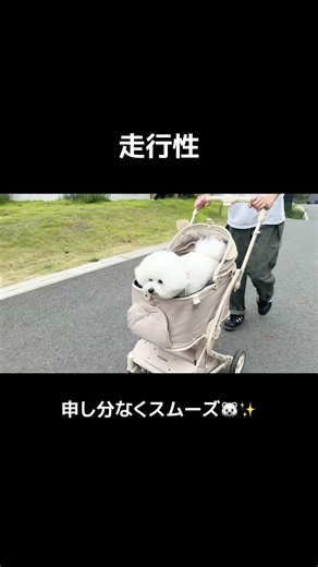 おすすめのペットカート PETTENA MILOU