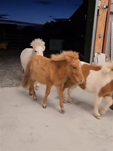 Toddler Bedtime Routine Tips for a Relaxing Night