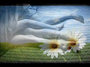 STEVE HOLY - GOOD MORNING BEAUTIFUL (with Lyrics)