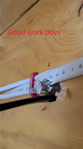 Essential Skills for Electrical Apprentices