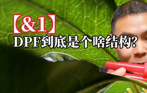 &1国六车，DPF到底是个啥结构？