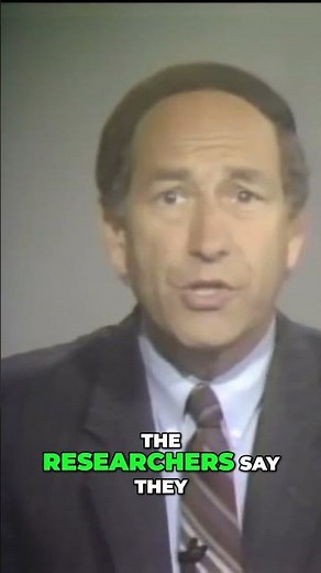 1980s Dream: Handheld Supercomputer with 16,000 Processors?