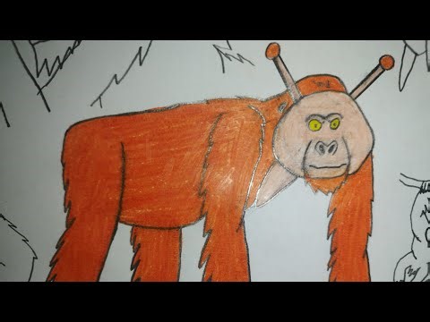 Sound Effects-Orennorthwest Bornean Orangutan