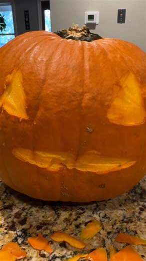 Every year our chickens get to carve a pumpkin. This year they went overboard. #halloween #pumpkin #chickens #fall #ranchlife | Hot Mess Ranch