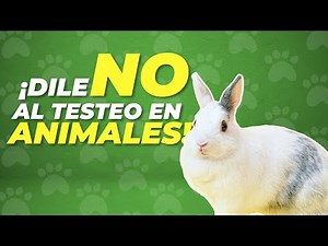 ¿Cómo saber si un PRODUCTO es TESTEADO en ANIMALES? 🐇💉¡Toma nota! 📝✅ | Agrocampo |