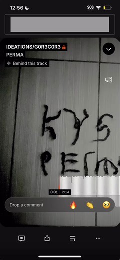 *^i**SFH!!…g0r3c0r3•_•….!! #fyp #che #osamason #bleood #playboicarti