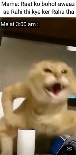 mama ne raat ke bare me pooch liya … #3am