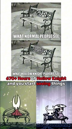 670+ Hours of Hollow Knightand you start seeing things😭