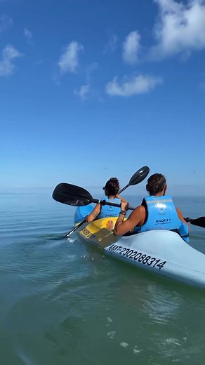 Explora los manglares y descubre la esencia natural de Holbox. 🌿 #KayakHolbox #HotelCasaBárbaraHolbox #HolboxNature | Hotel Casa Bárbara Holbox