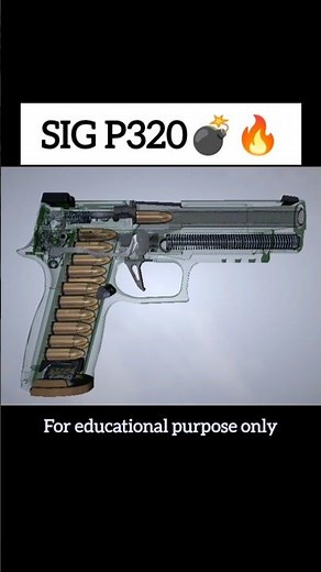 SIG P320: How This Modular Handgun Works | Quick Breakdown