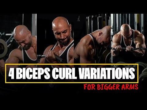 My 4 Favorite Bicep Curl Exercises