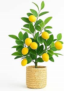 AceList 23 Inch Artificial Lemon Tree with Woven Basket, Faux Lemon Decor for Kitchen Table, Countertop, Bedroom, Office, Spring Summer Home Decoration, Idea
