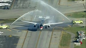 136K views · 1.2K reactions | President-elect Donald J. Trump's plane...