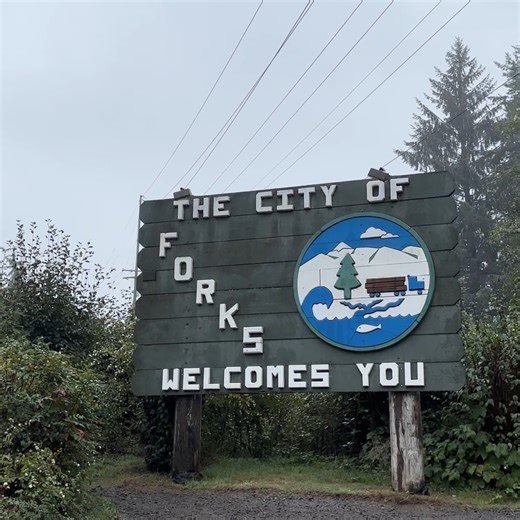 1M views · 30K reactions | Twilight turns 20 today and the fandom is only getting stronger. From celebrating at this year's Forever Twilight in Forks Festival with Stephenie herself, to seeing all of your favorite quotes and edits, cheers to two decades of forever. 﫶 | The Twilight Saga | Facebook