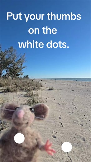 #needlefelt #mouse | Needle Felting Art