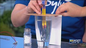 Elaina's Experiments: Electrolysis of water