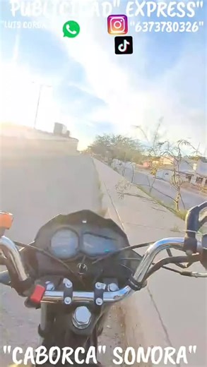 Luis Coronel on Instagram