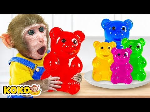 Monkey Koko Makes Jelly Food with Gummy Bears And Play Racing Car | KUDO KOKO CHANNEL