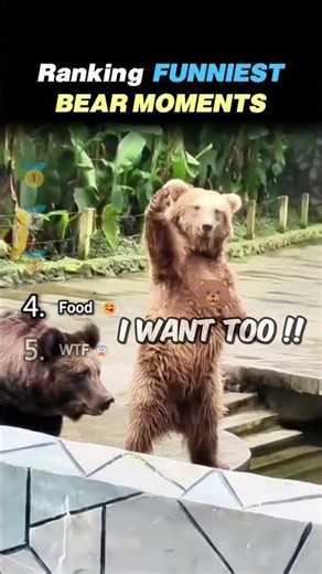 Ranking FUNNIEST BEAR MOMENTS Core Moments!! 🐻😂