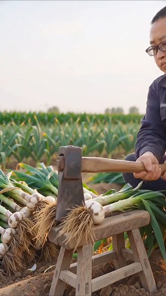 This Farming Trick Is So Simple Yet Brilliant! 🌱🔥#Farming #Agriculture #FarmingTips #Gardening#fyp