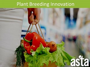 PPT - Plant Breeding Innovation PowerPoint Presentation, free download - ID:596388