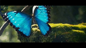 #5G is like a forest of wonders – if we look closer, the vast networks of #intelligent connections are nothing short of miracles. Follow us and stay tuned to #5GBringNewValue: http://tinyurl.com/tcqtm2m | Huawei