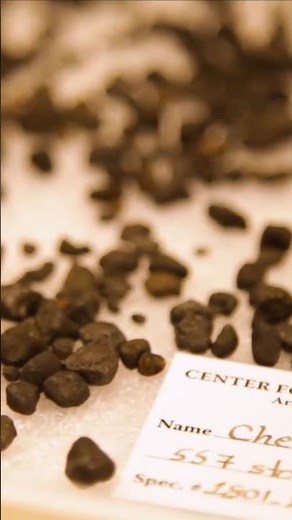 ▸What a REAL Meteorite Look Like"2 | Chondrites 👀☄️ © SciFri #Meteorite