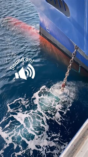 Cruise Celebrity on Instagram: "“# Shackles in the water” A shackle in this context refers to a standard length of anchor chain or cable, equal to 15 fathoms or 90 feet (approximately 27.4 meters). When a cruise ship or any other vessel deploys its anchor, the length of chain let out is measured and reported in shackles. So, “3 shackles in the water” means 270 feet of chain has been deployed. This measurement is crucial for safe and effective anchoring, regardless of the vessel’s type or size. F