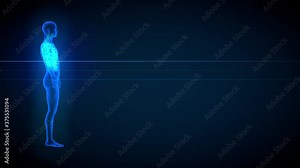 3 different 3D seamless looping animations in 1, male body side view - x-ray scan with organs and skeleton, anatomy illustration - 4K 60fps UHD