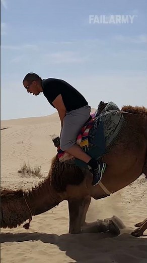 Crazy animal fails & encounters 😭🫣