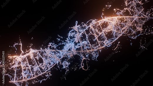 3D animation of DNA. Conceptual design of genetic information for science animation. multicolored DNA molecule. DNA molecules in chromosomes. science, biology