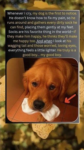 The Sweetest Thing My Dog Does When I Cry