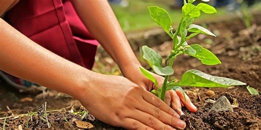 Grand Wayne Convention Center hosting first-ever Indiana Plant Show
