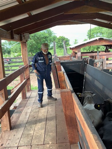 Inversión en Ganadería: Hacienda Margarita