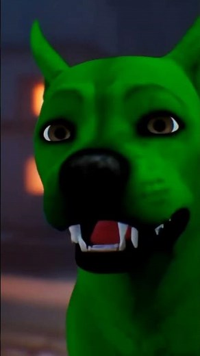 Why God Created Animals (Documentary)