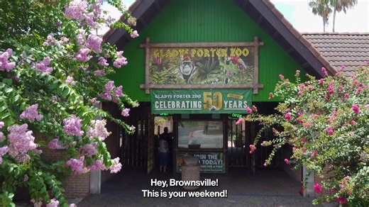330 reactions · 49 shares | Brownsville Discount Days are here! Visit...