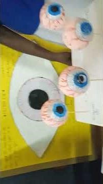 excellent biology project for student's #school #trending #viral #project